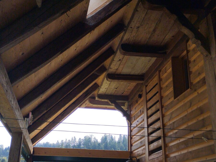  Bienennest entfernen.jpeg