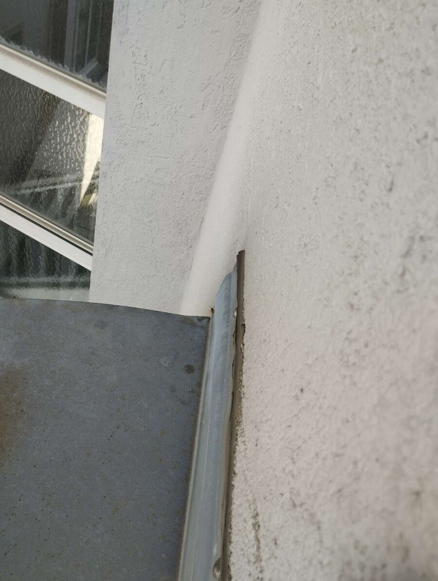 Bienen umsiedeln &  Bienennest entfernen 