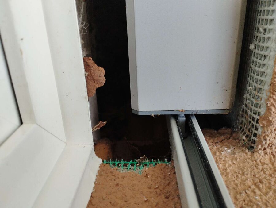 Bienen umsiedeln &  Bienennest entfernen 