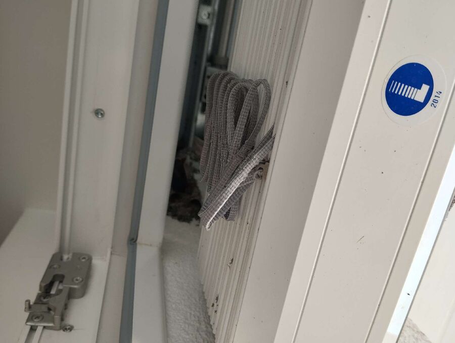 Bienen umsiedeln &  Bienennest entfernen 