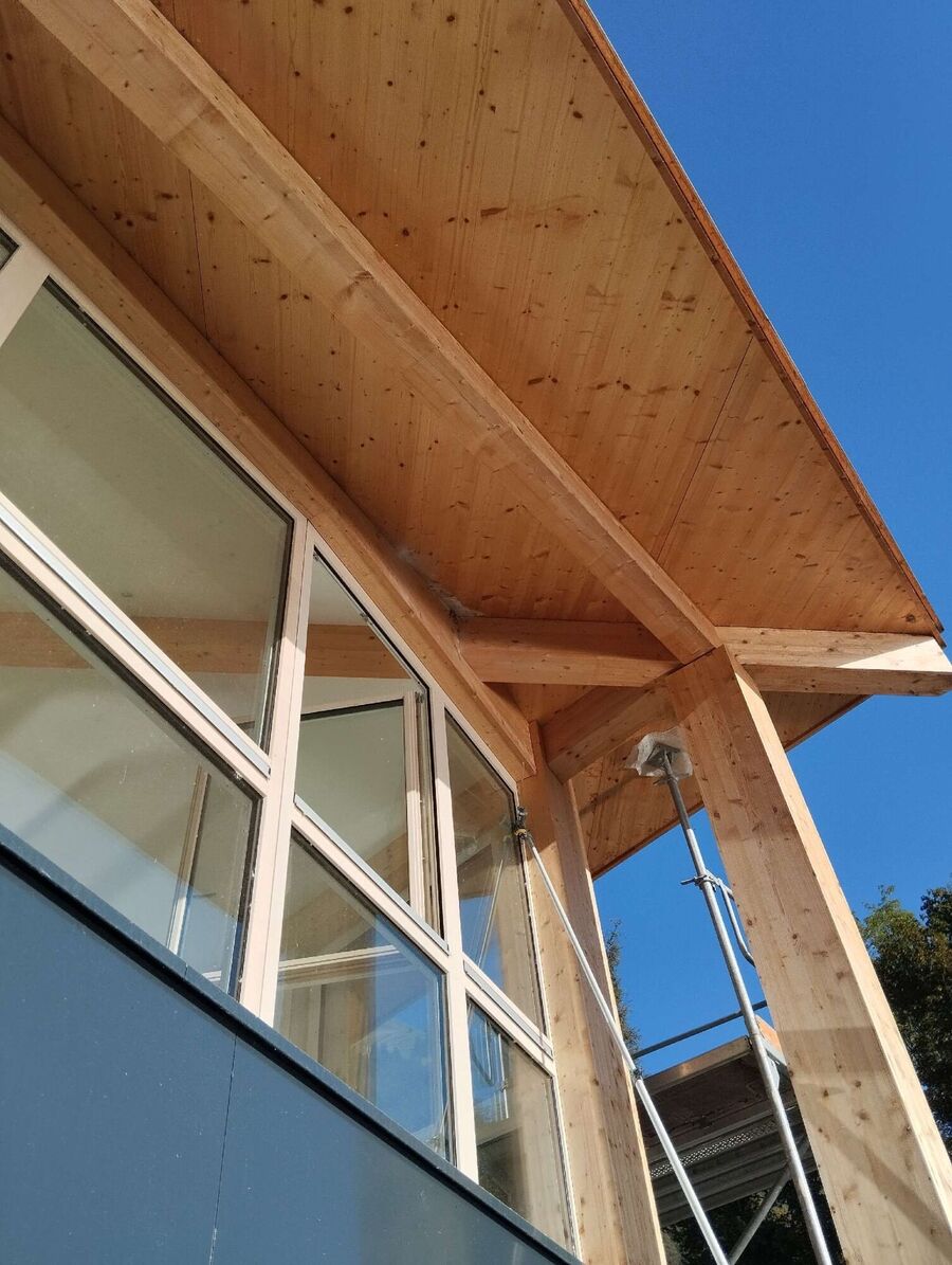 Bienen umsiedeln &  Bienennest entfernen 