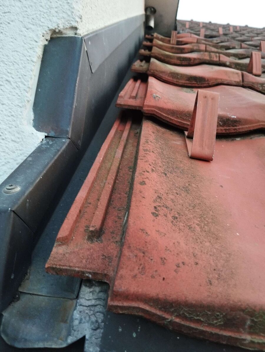  Bienennest entfernen