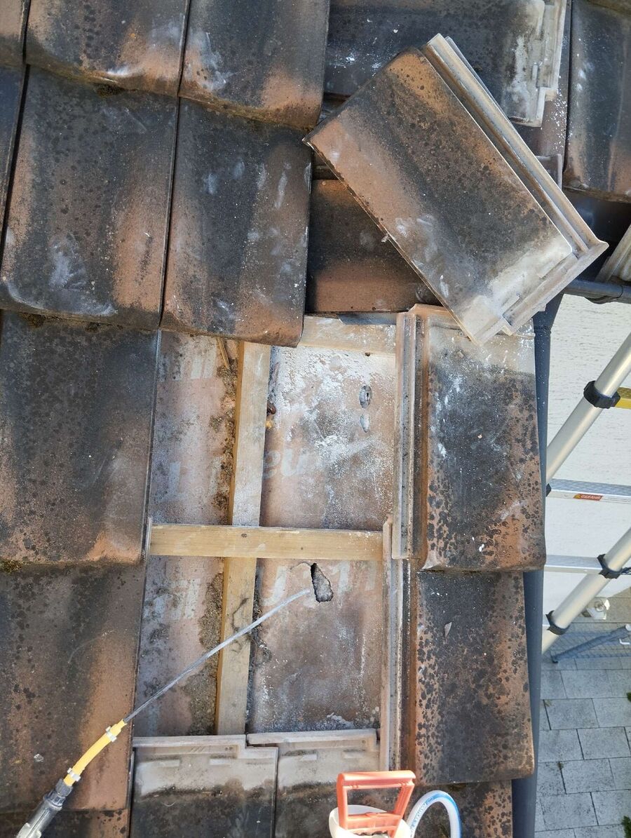  Bienennest entfernen