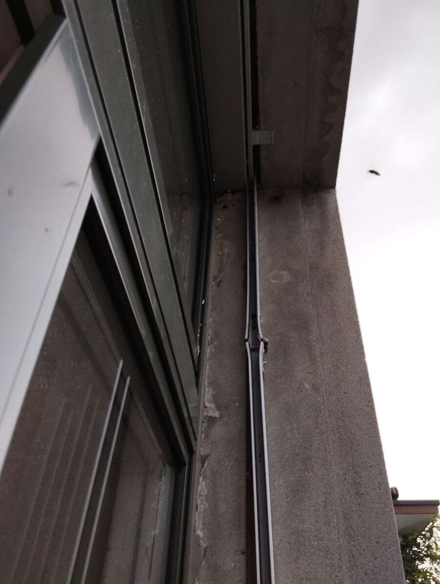 Bienen umsiedeln &  Bienennest entfernen 