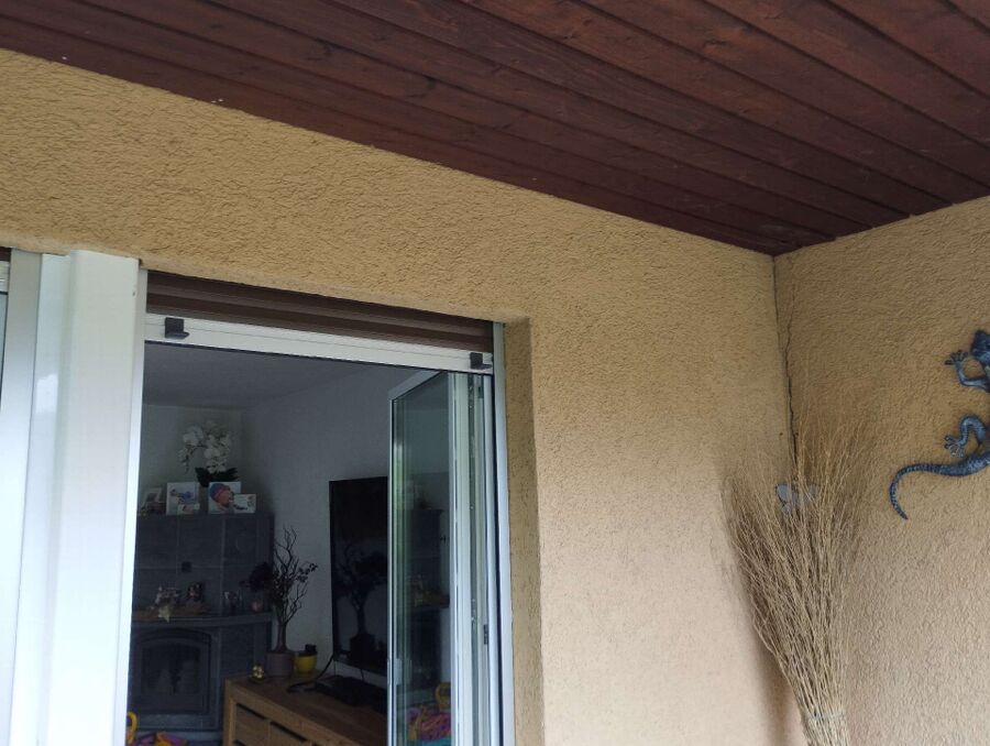 Bienen umsiedeln &  Bienennest entfernen 