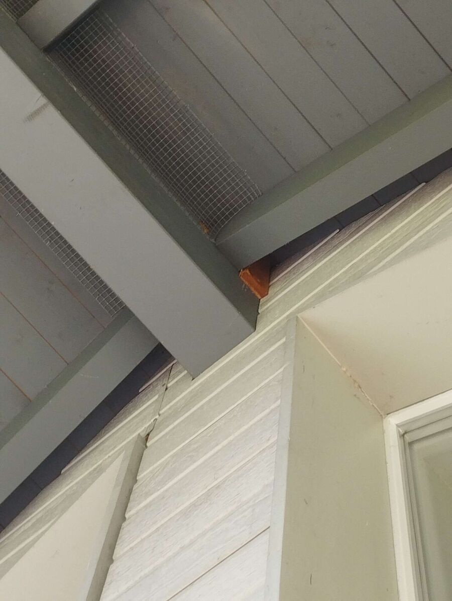  Bienennest entfernen.jpeg