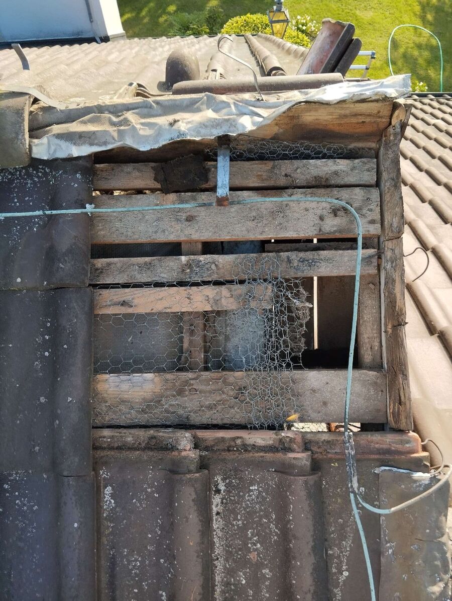  Bienennest entfernen.jpeg