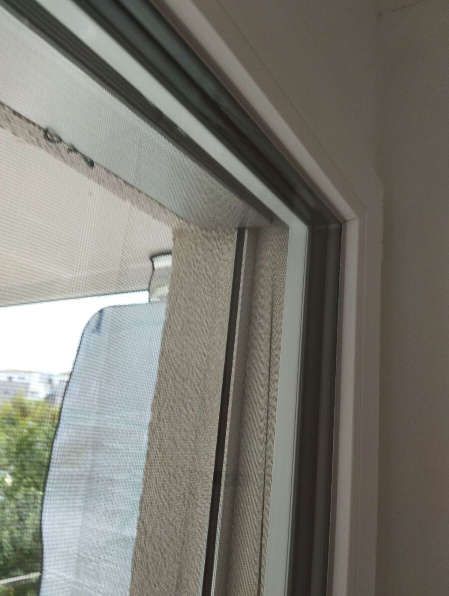  Bienennest entfernen