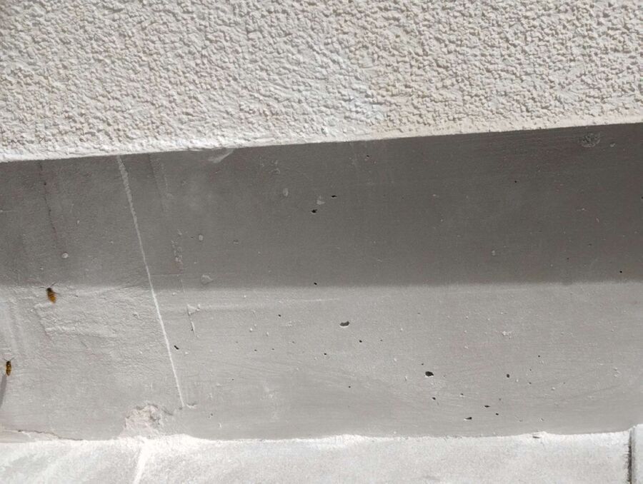 Bienen umsiedeln &  Bienennest entfernen 