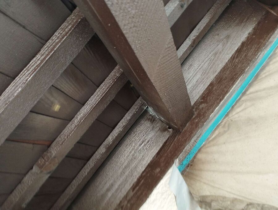  Bienennest entfernen