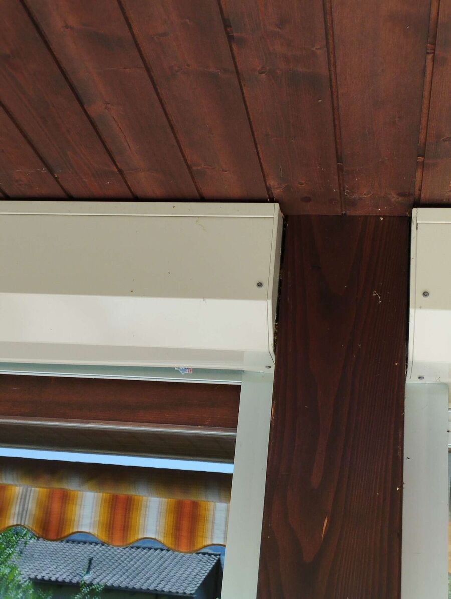 Bienen umsiedeln &  Bienennest entfernen 