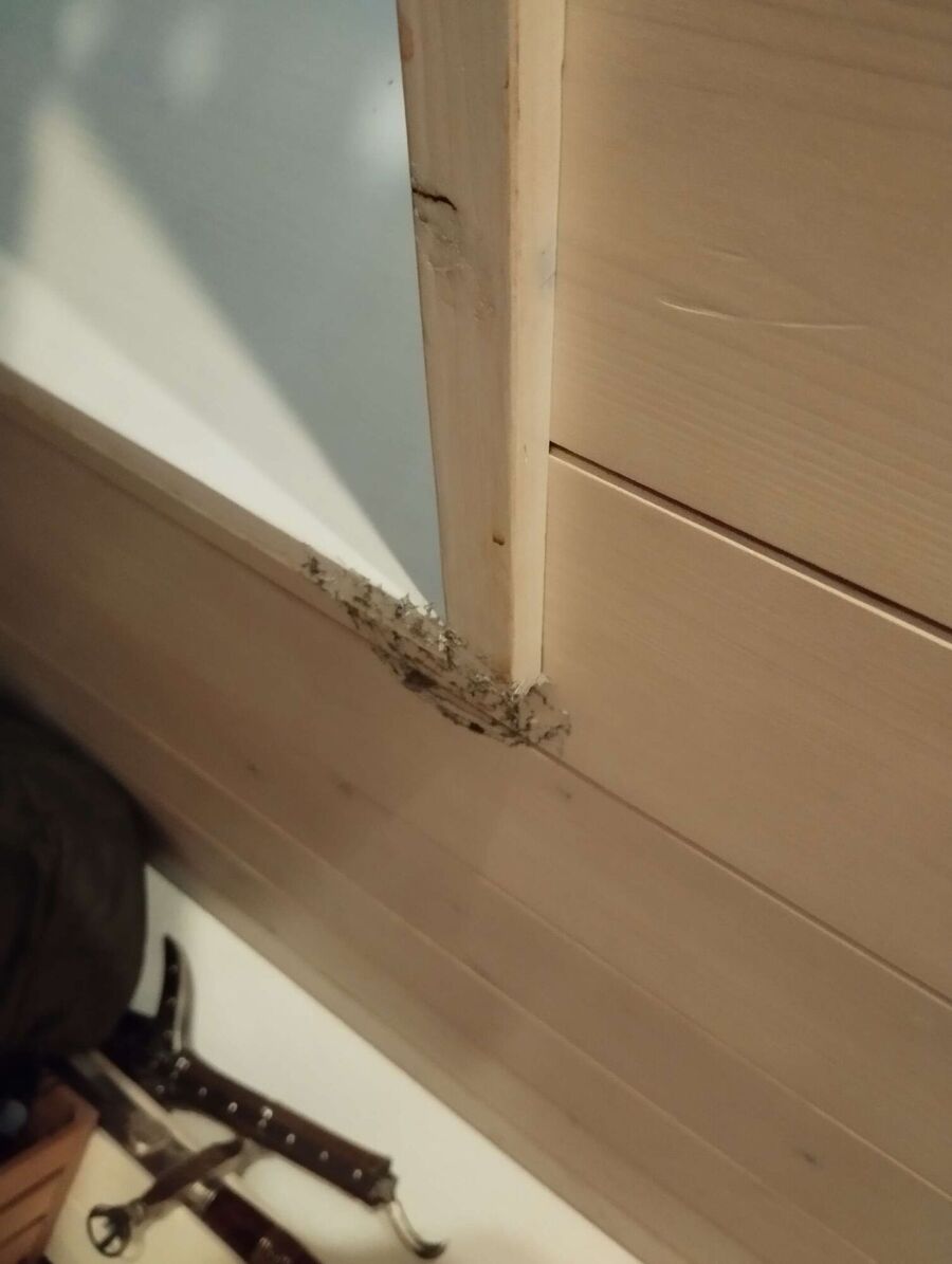  Bienennest entfernen.jpeg