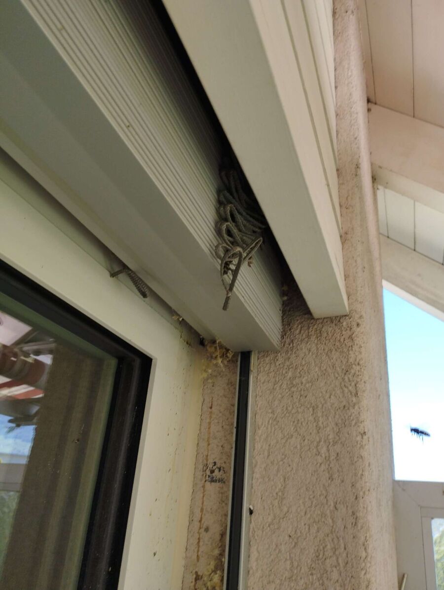  Bienennest entfernen