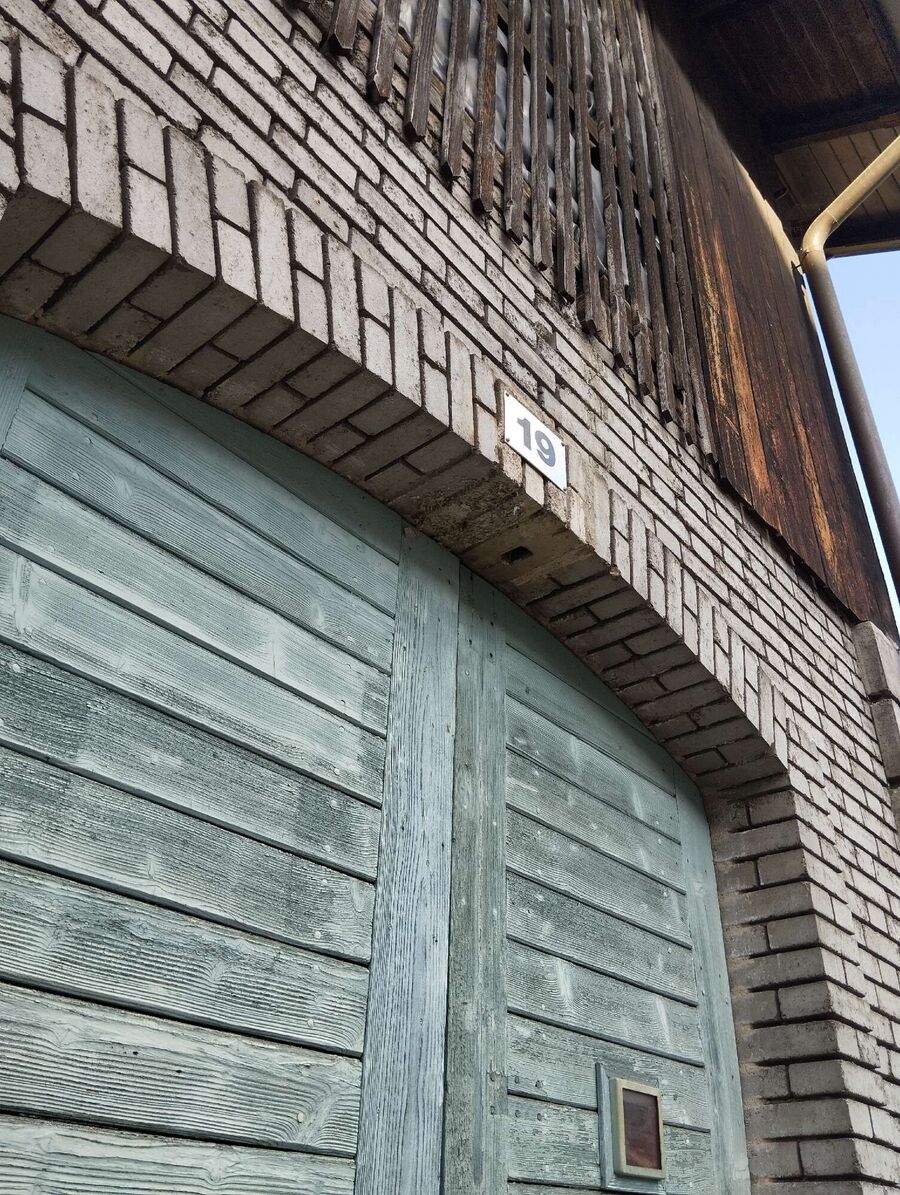  Bienennest entfernen