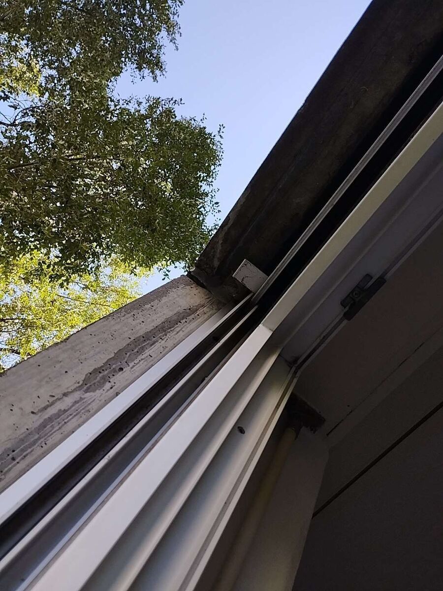  Bienennest entfernen.jpeg