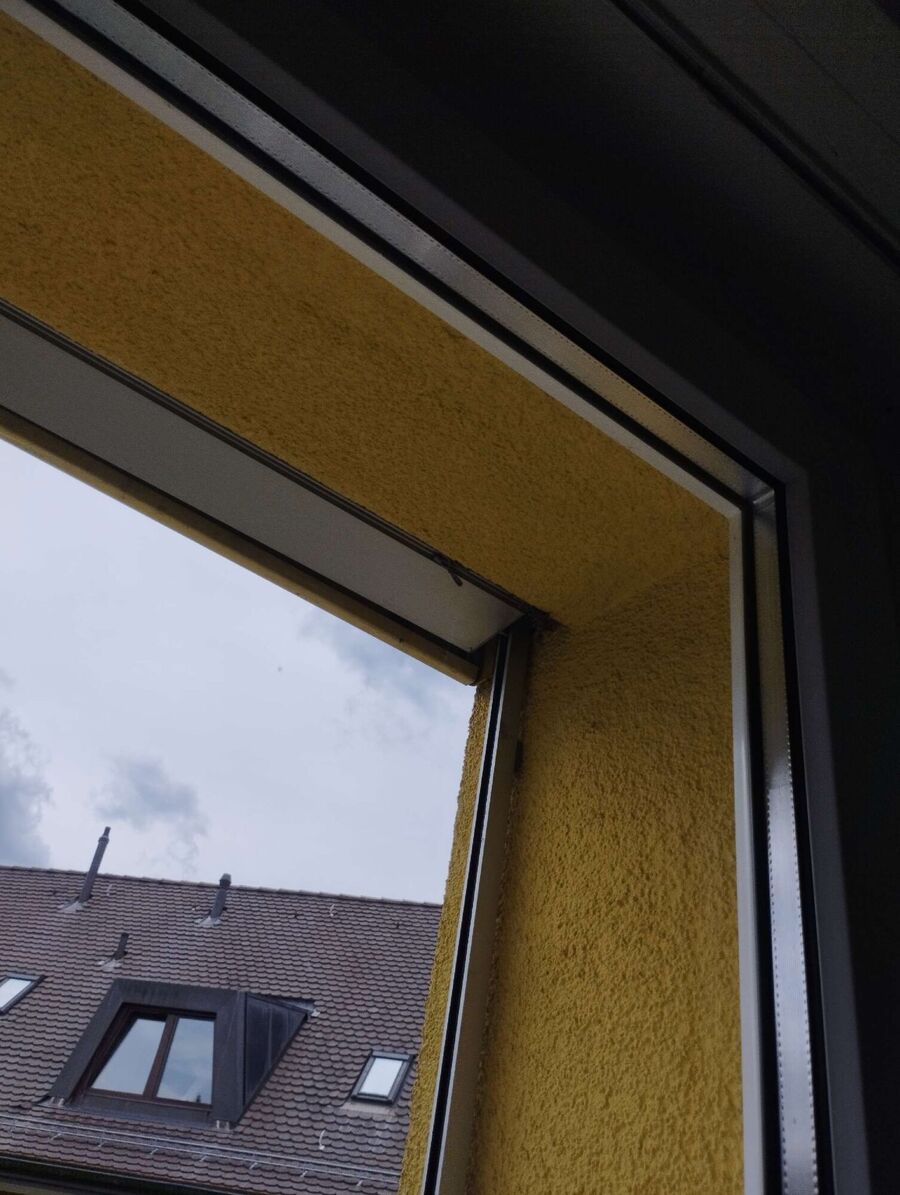  Bienennest entfernen