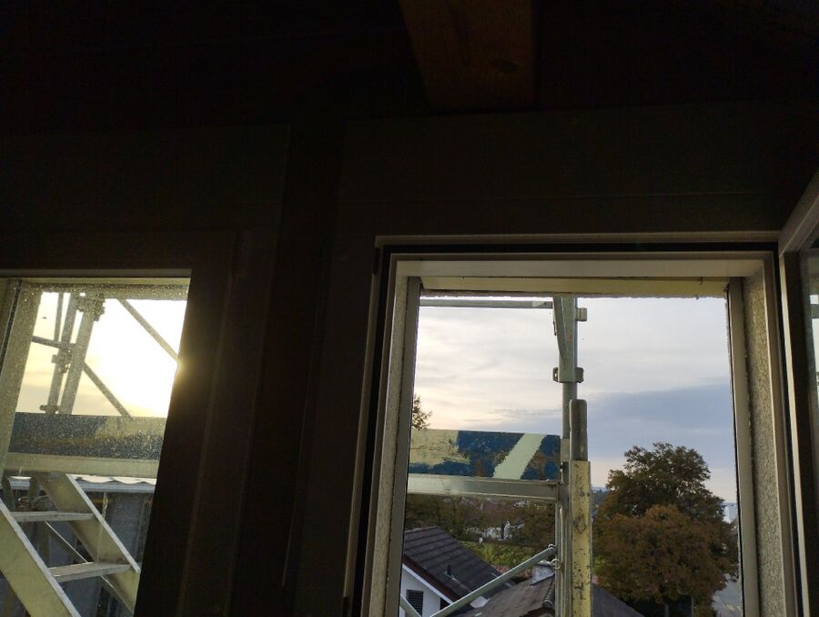  Bienennest entfernen.jpeg