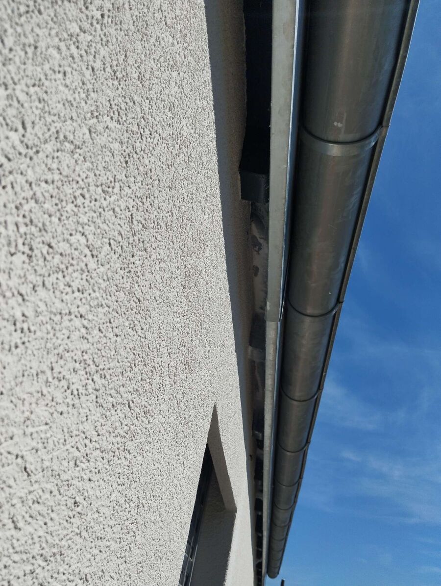  Bienennest entfernen