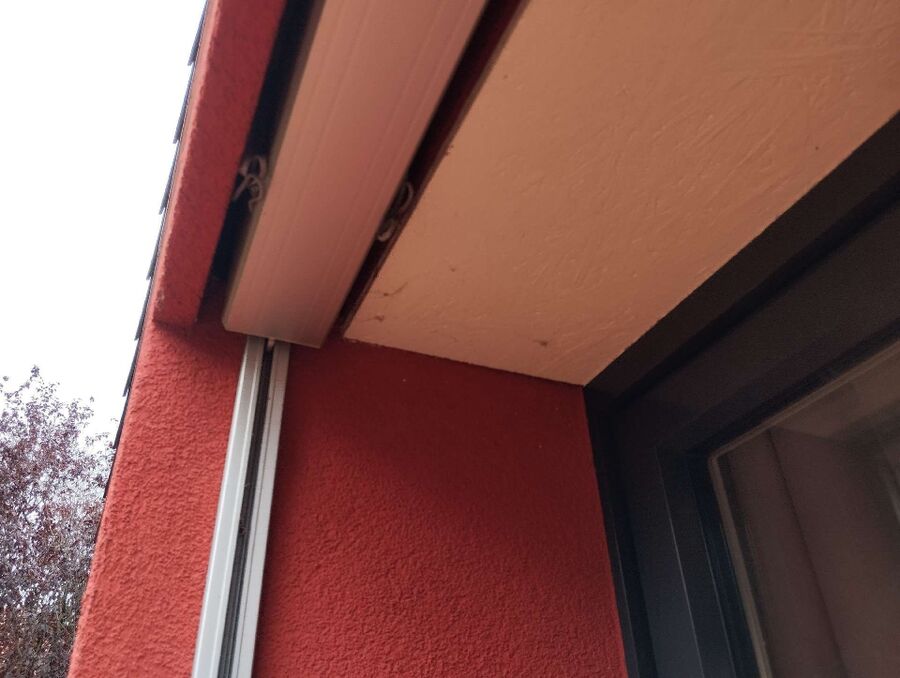  Bienennest entfernen