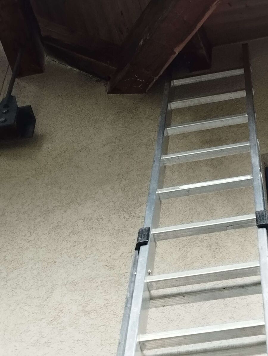  Bienennest entfernen.jpeg