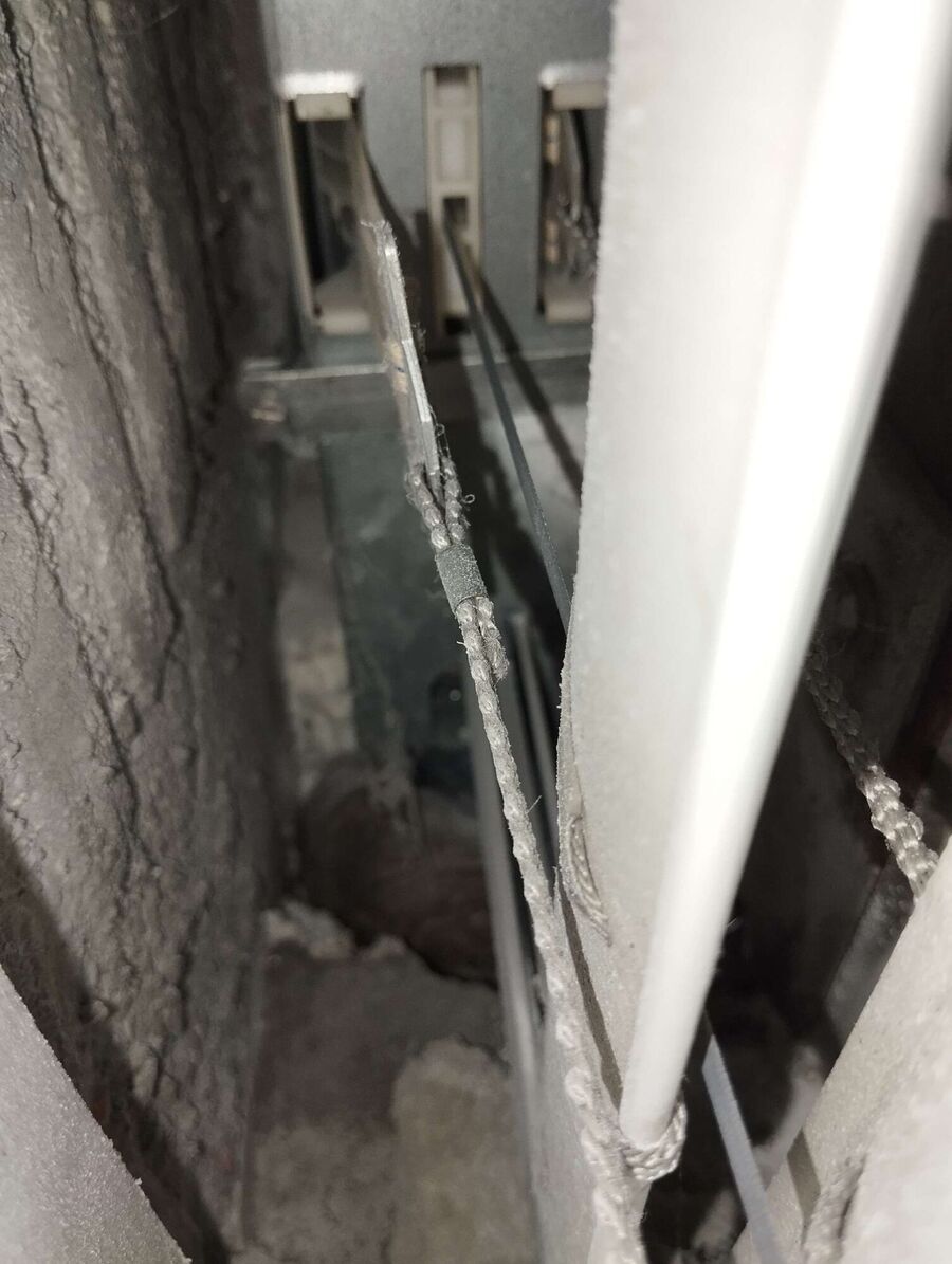  Bienennest entfernen.jpeg