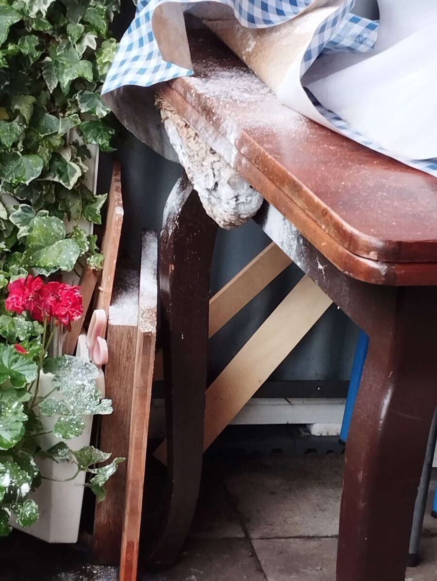 Bienen umsiedeln &  Bienennest entfernen 