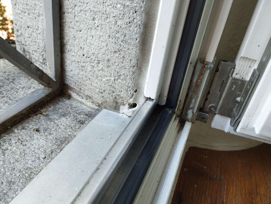  Bienennest entfernen