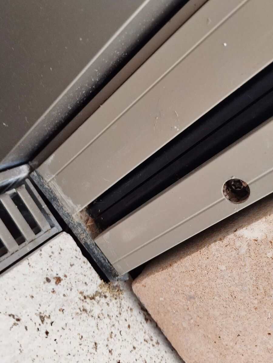  Bienennest entfernen