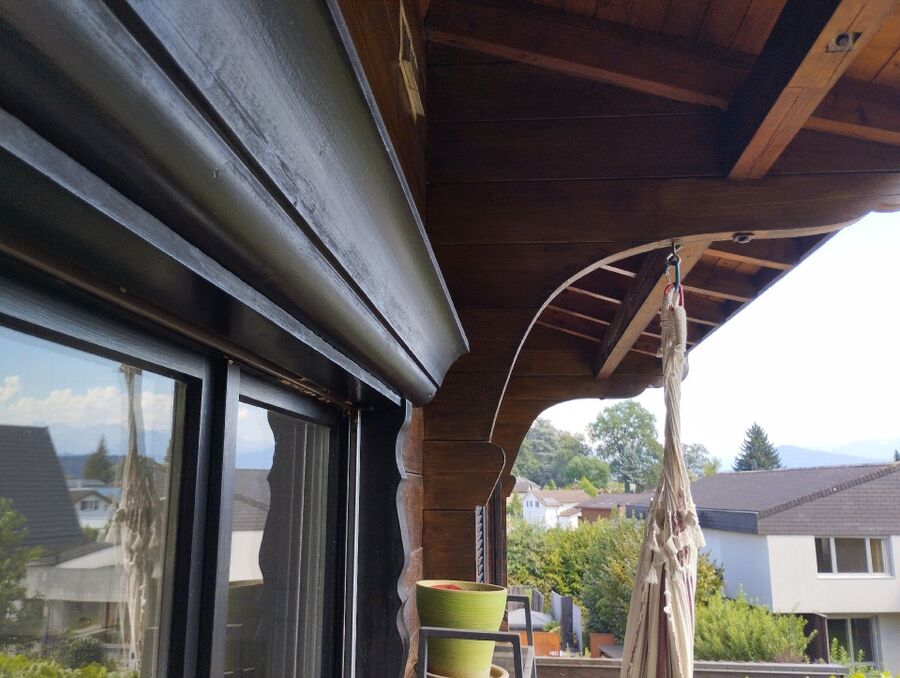 Bienen umsiedeln &  Bienennest entfernen 