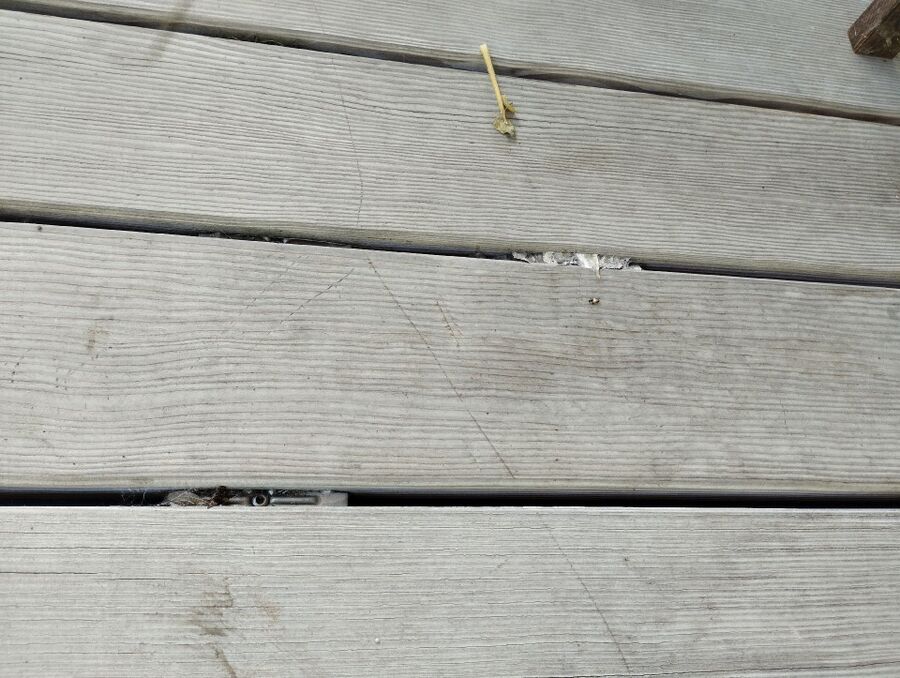  Bienennest entfernen.jpeg