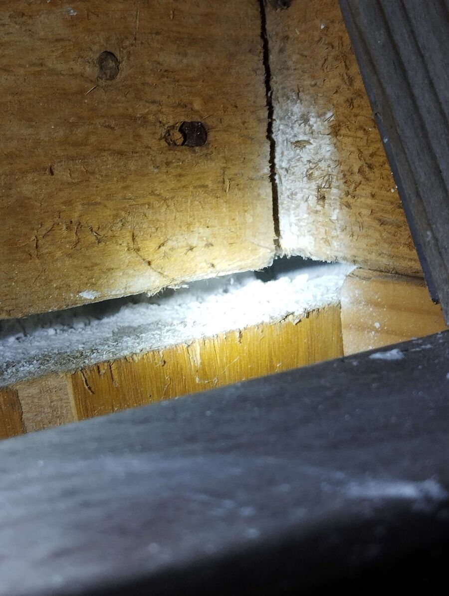  Bienennest entfernen