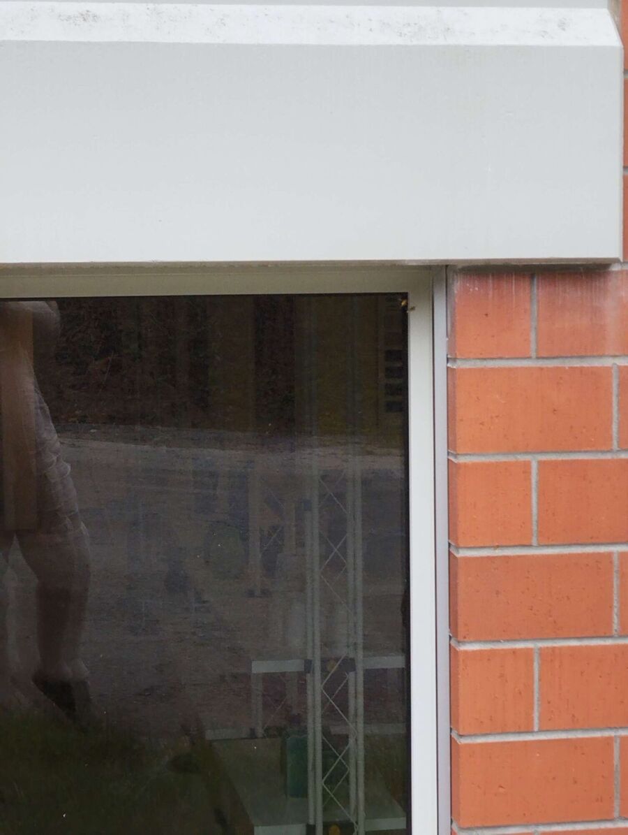  Bienennest entfernen