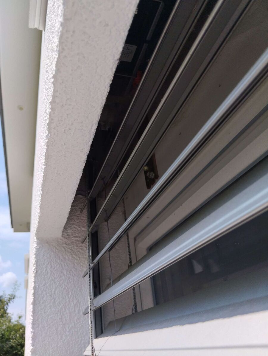  Bienennest entfernen