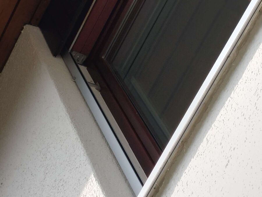  Bienennest entfernen.jpeg