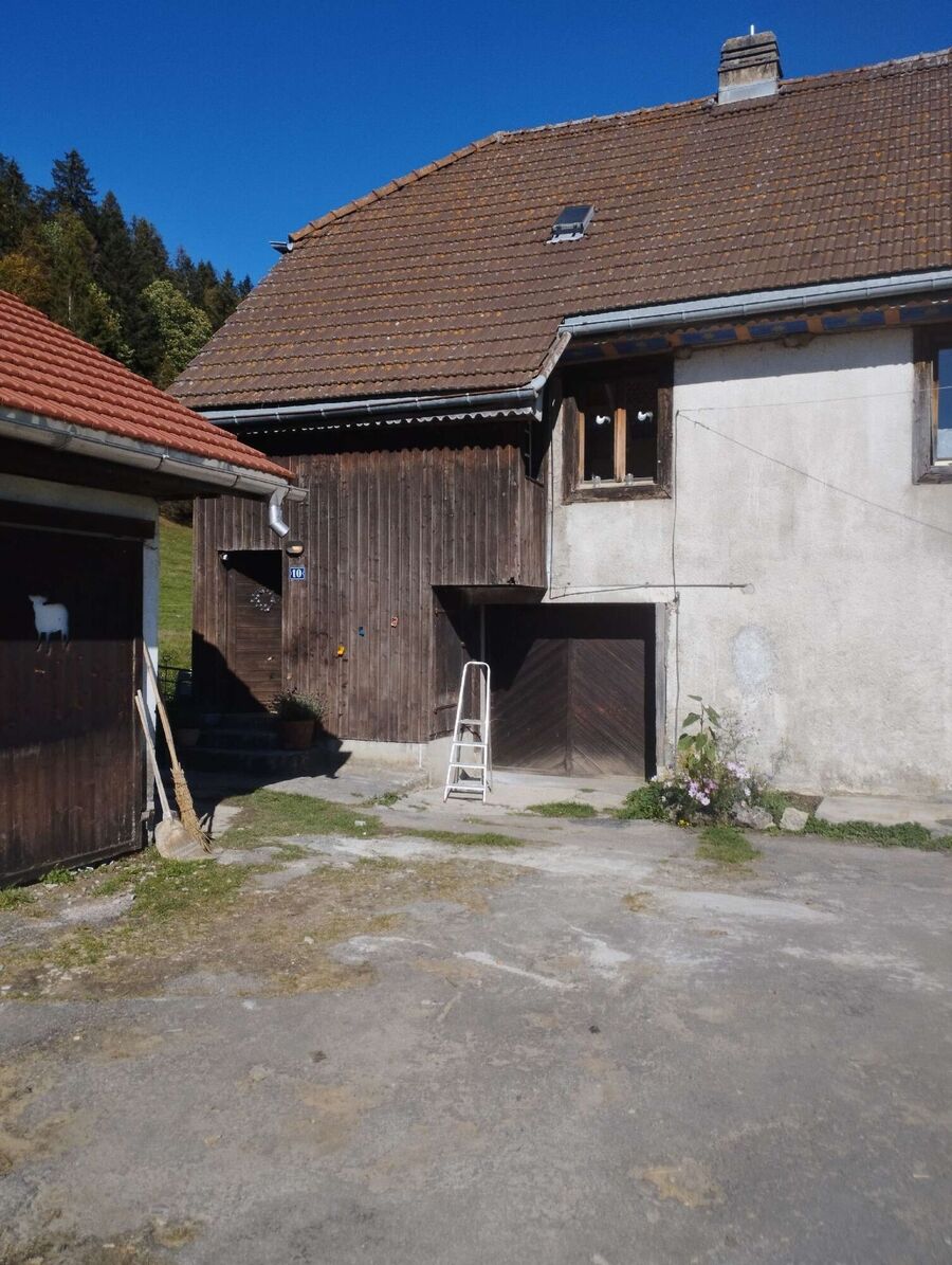  Bienennest entfernen