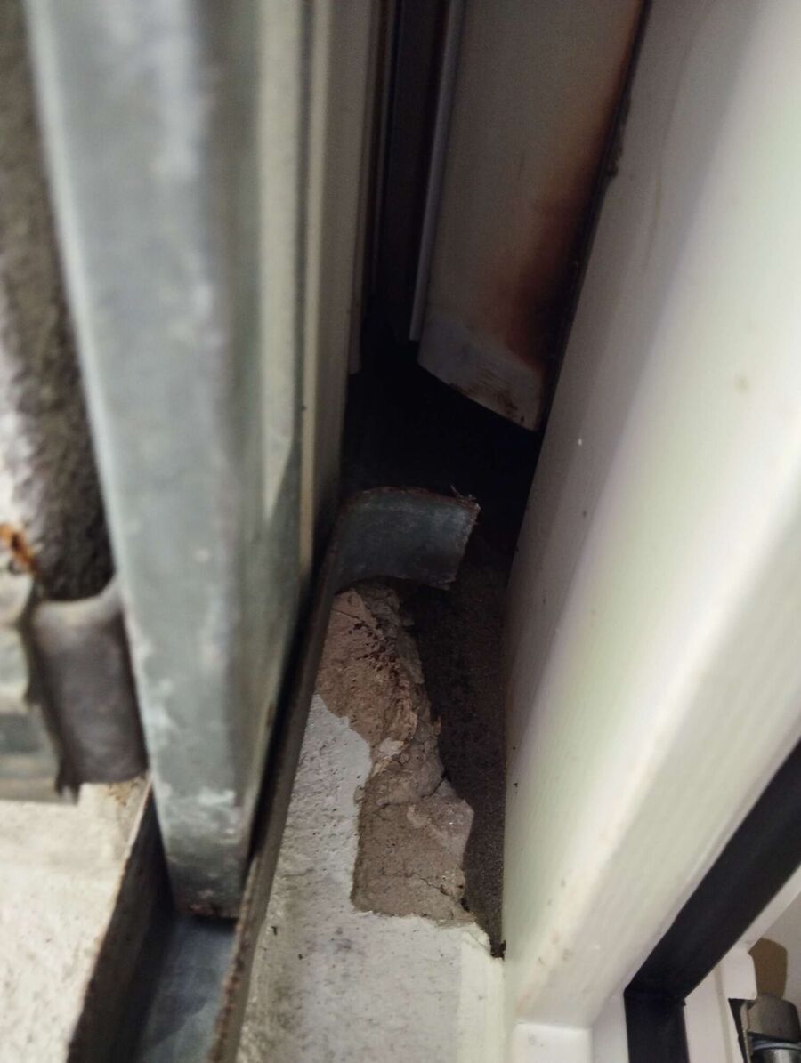  Bienennest entfernen.jpeg