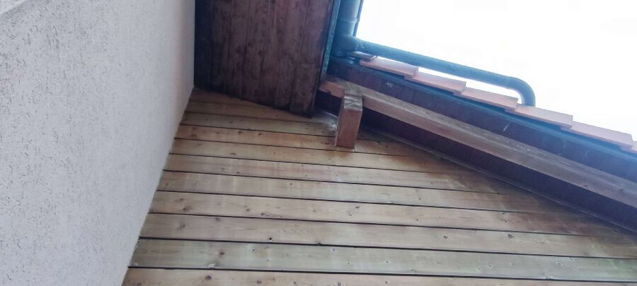  Bienennest entfernen