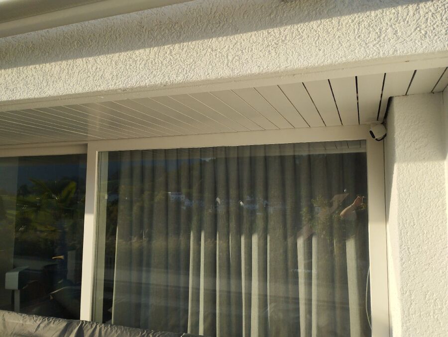 Bienen umsiedeln &  Bienennest entfernen 