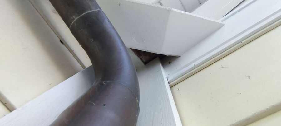 Bienen umsiedeln &  Bienennest entfernen 