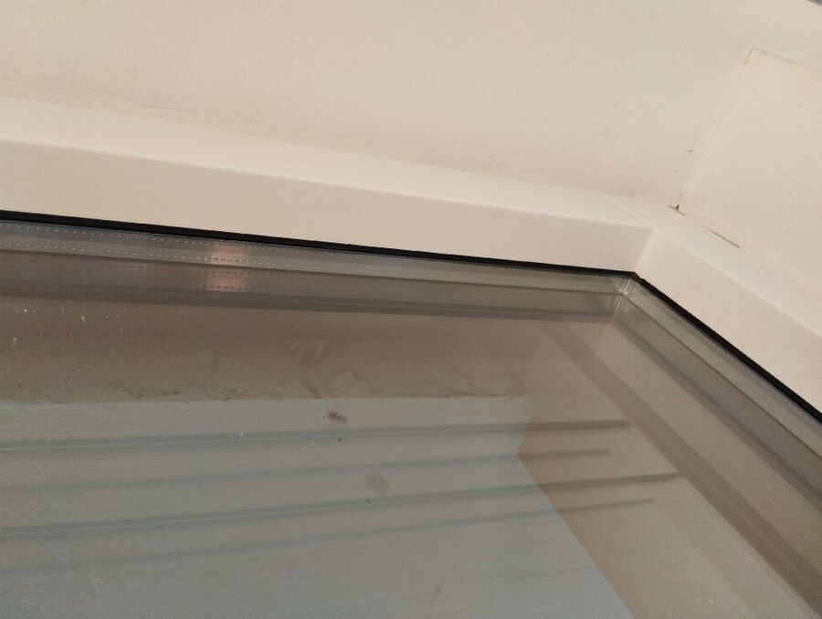 Bienen umsiedeln &  Bienennest entfernen 