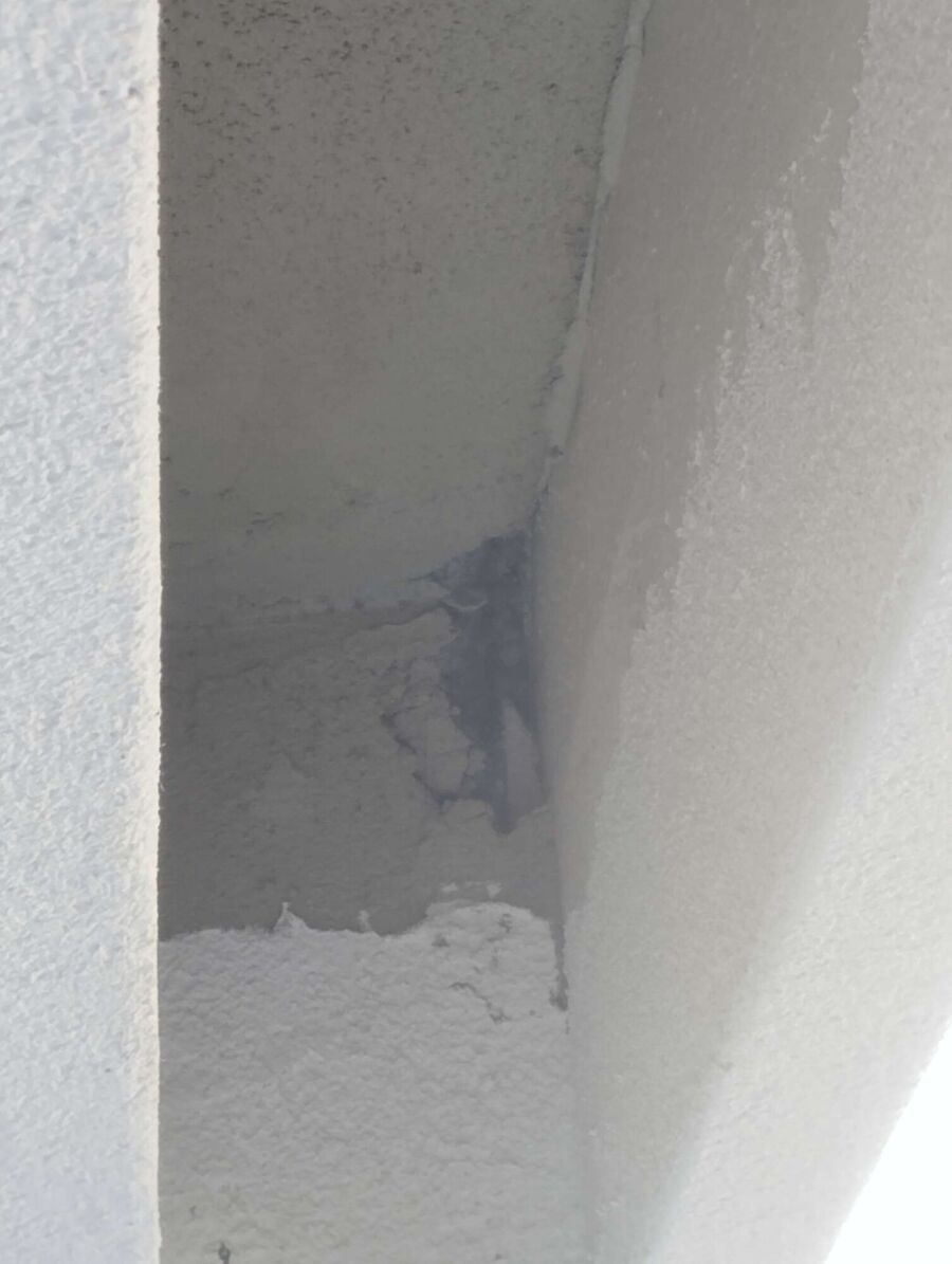  Bienennest entfernen.jpeg