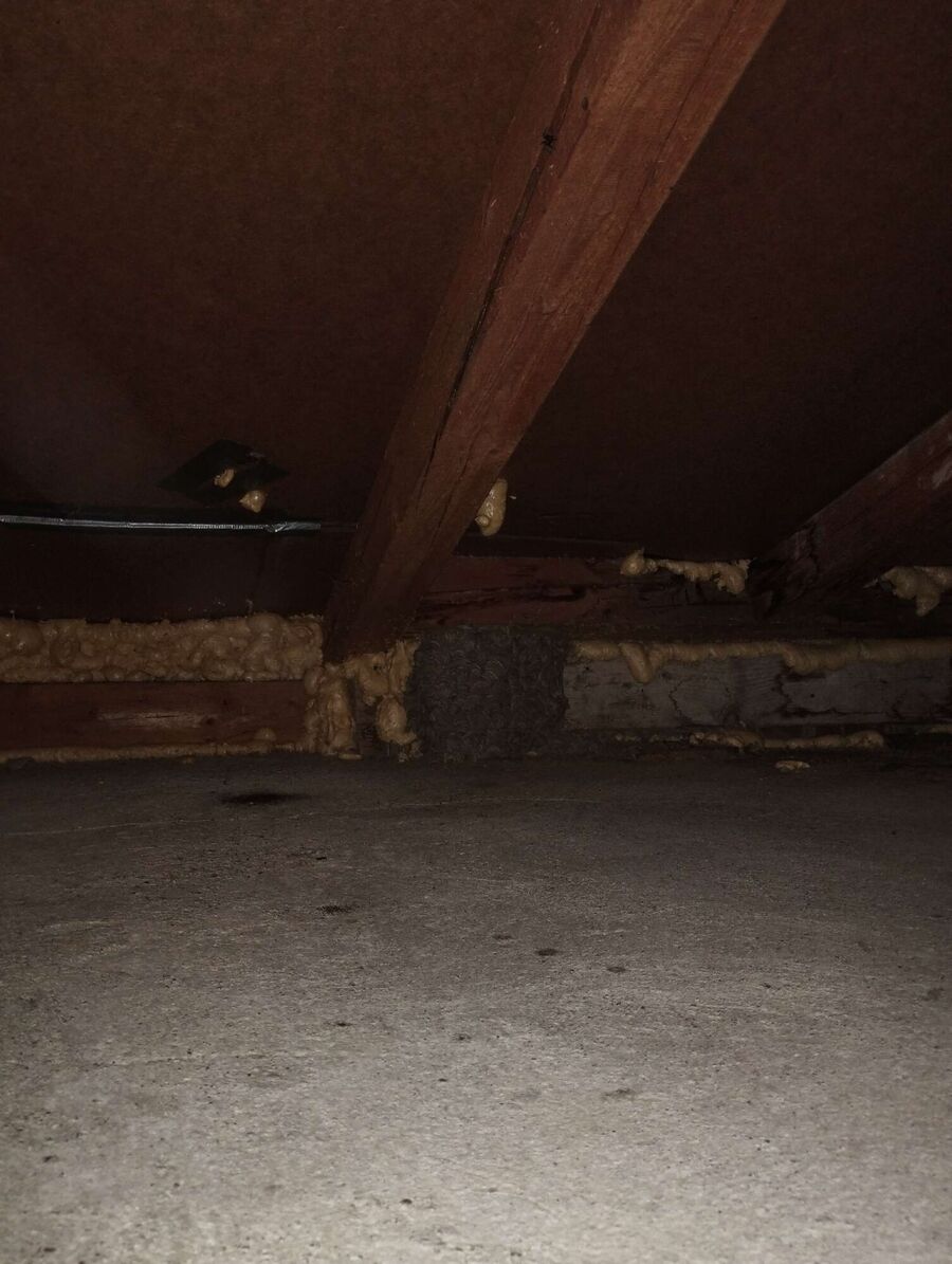  Bienennest entfernen