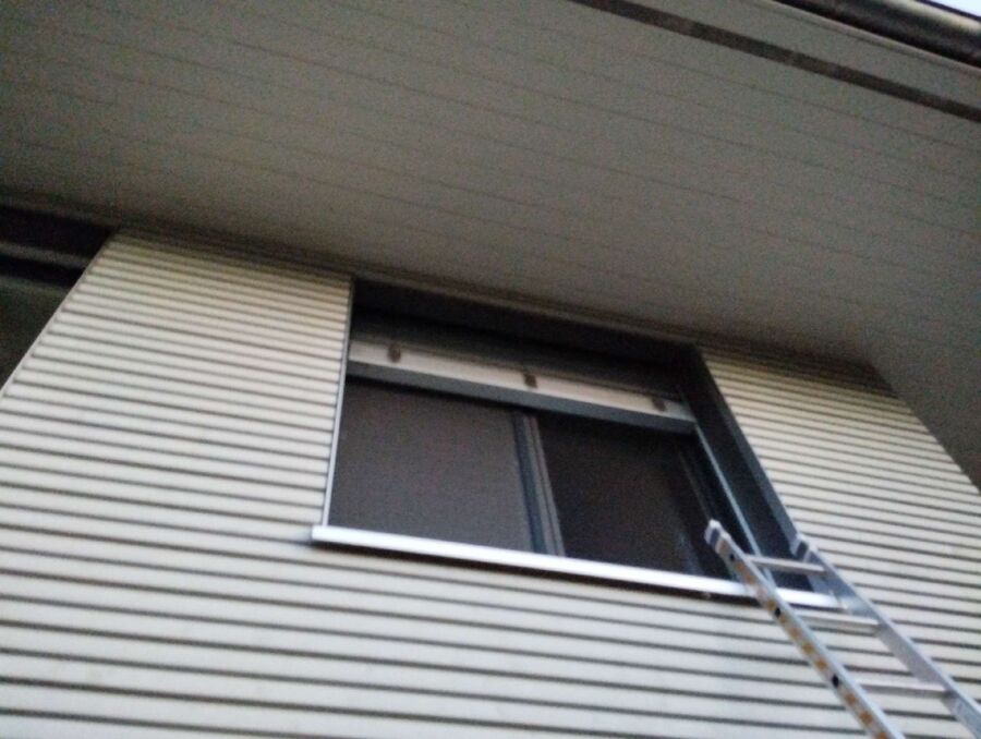  Bienennest entfernen.jpeg