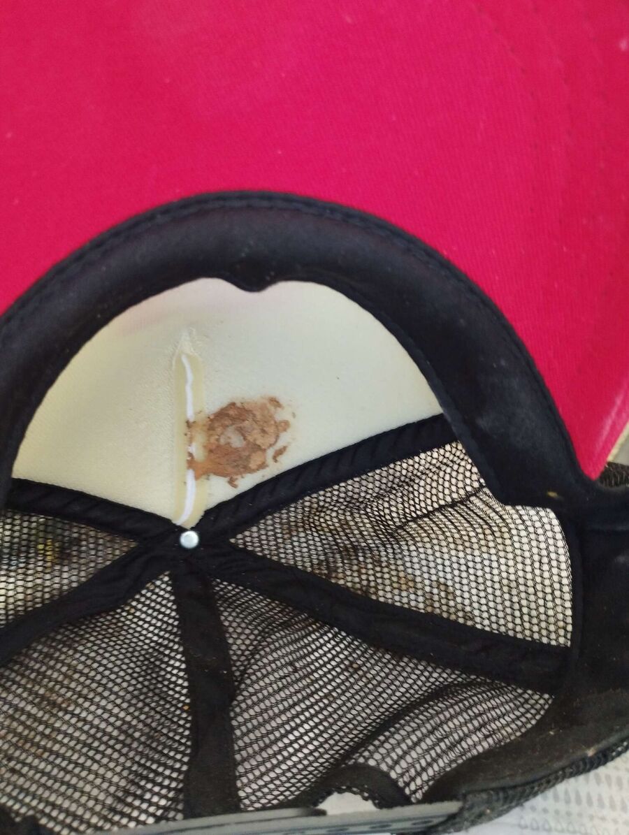  Bienennest entfernen