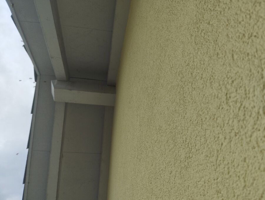  Bienennest entfernen