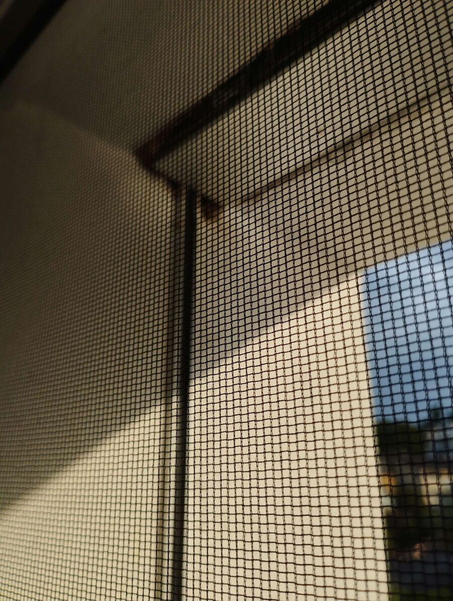  Bienennest entfernen.jpeg