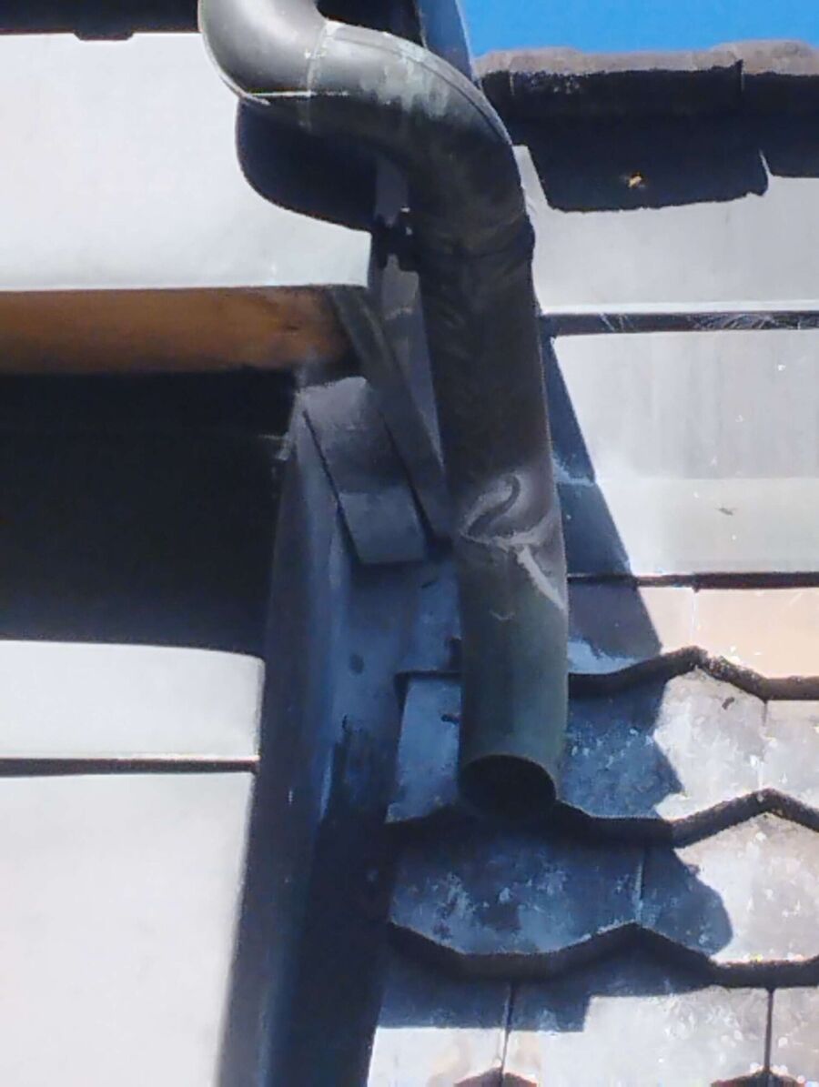  Bienennest entfernen.jpeg