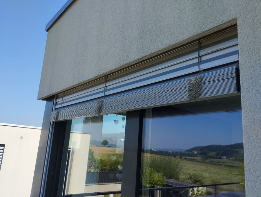  Bienennest entfernen.jpeg