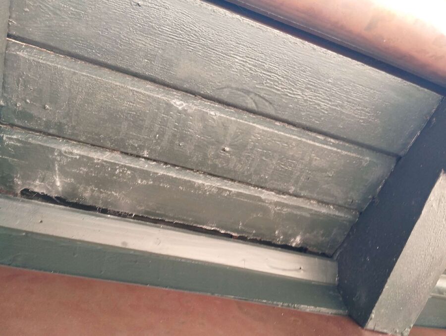  Bienennest entfernen