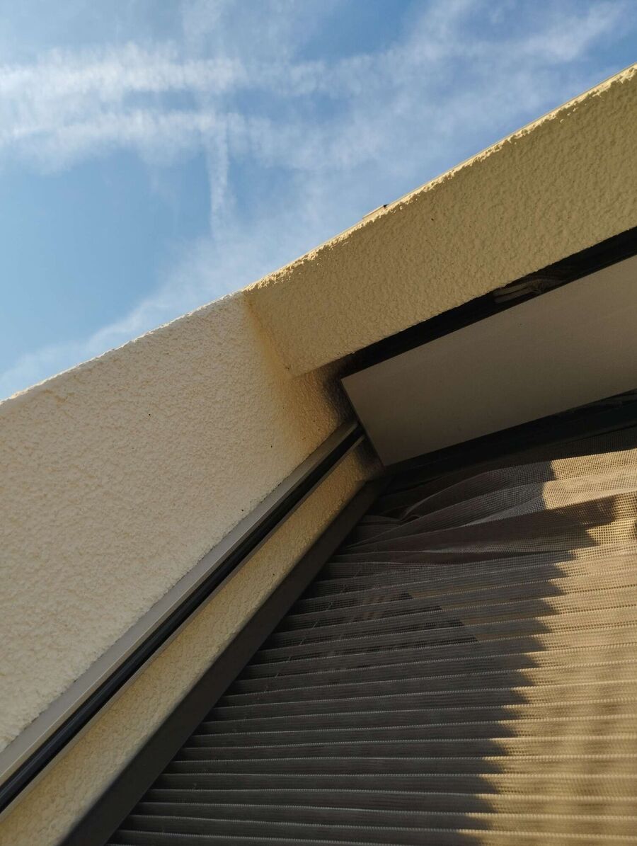  Bienennest entfernen.jpeg